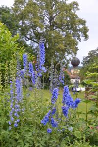 Ferienwohnung Seebauer