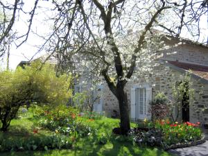 Appartement T3 chambre dhôte