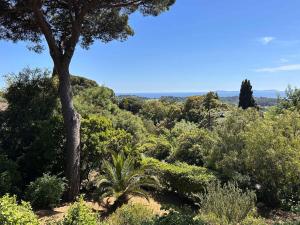 Villas Villa Sud Vue Mer : photos des chambres