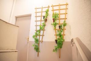 Appartements Qualys Vignoble parking, square view, close to city : photos des chambres