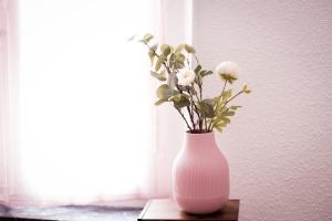 Qualys Vignoble parking, square view, close to city