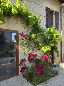 Les Vignes du Mâconnais