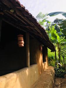 Heeloya mount view garden