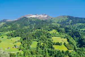 Maisons de vacances Le Nid D-Hauteluce - Proche centre ville : photos des chambres