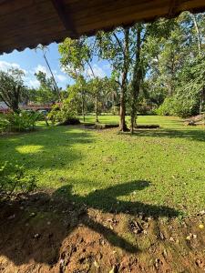 Sabalo Lodge Tours and Cabins