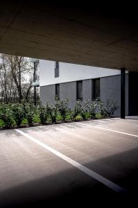 Füzliget Gardenlight