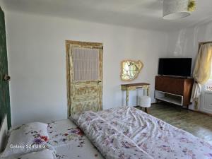 Casa bunicilor- liniștea prispei, răcoarea beciului și aerul poianei