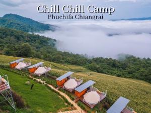 ชิวชิวแคมป์ ภูชี้ฟ้า