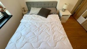 Belgrade Terrace Apartment