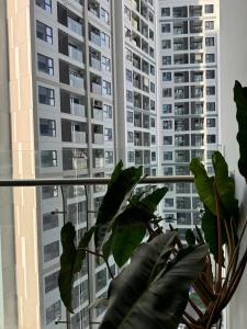 Anmie Home - Hoàng Huy CMC