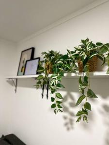 Chiado Hideaway Comfort in the Heart of Lisbon