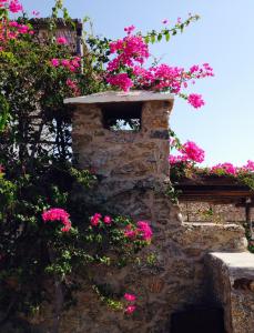 The House in the Field Myconos Greece