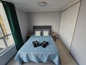 Apartment steps from the Alameda Terminal, Escuela PDI, Estación de Trenes and USACH, Facturable