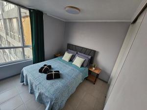 Apartment steps from the Alameda Terminal, Escuela PDI, Estación de Trenes and USACH, Facturable