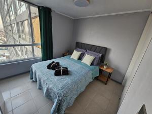 Apartment steps from the Alameda Terminal, Escuela PDI, Estación de Trenes and USACH, Facturable