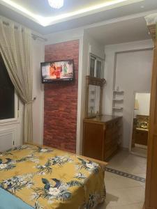 Well equipped luxurious apartment