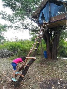 Sorabora like view camps