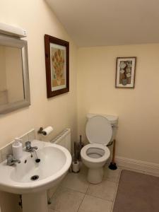 Lough Rinn - Mac Raghnaill Court