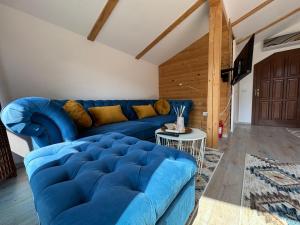 Vila Eruga- Apartament 3