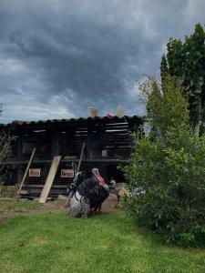 La Fogata l Rancho Chachimbiro