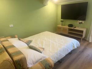 Casa Pallinucci historic center