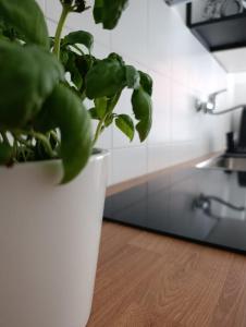 Rome Tiburtina Terrace Inn - casa vacanze