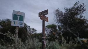 LAS TONINAS - CASAS DE PLAYA - a 50 metros del mar