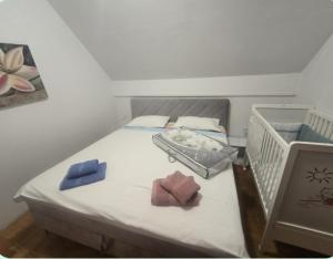 Hišica 6084 Terme Čatež