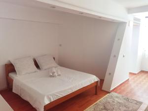 Garsonieră central Tg Jiu