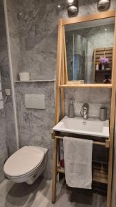 Centre Carré dor 3 chambres