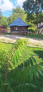 Apartments Stari Jasen Uvac