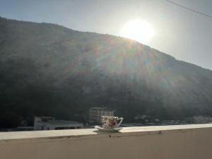 Welcome to Nanos Place