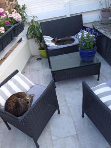 Chambre " Nid Cosy " Charme et Détente chez Fred