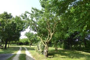 Silea Apartments, Pool, Garden, Treviso