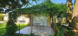 Appartements Studio avec terrasse et tonnelle : photos des chambres