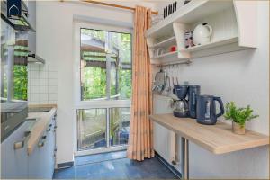 Seeblick Anlage FeWo Lachmöwe