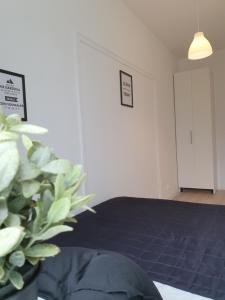 Pokoje Gdynia Centrum 135