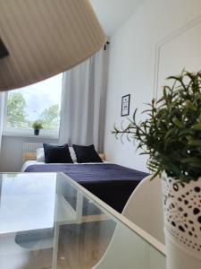 Pokoje Gdynia Centrum 135