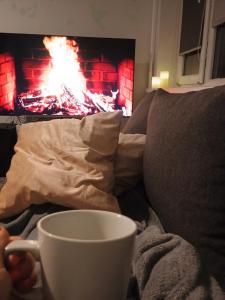 Comfortable Apartment in Tallinn Pet-Friendly, Self Check-in