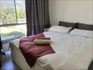 Dana-Large Room in a Shared House-Close to City & ANU-1