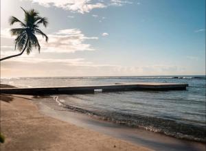 Aquarella Deluxe Caribbean Paradise