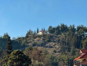 Mountain View Apartment