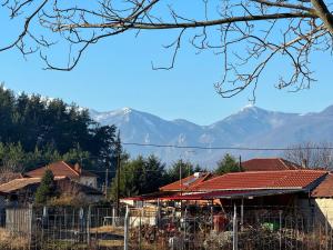 Mountain View Apartment