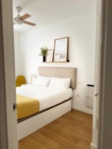 LUMINOSO APARTAMENTO en el centro de Cádiz