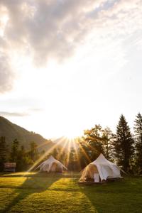 Glamping Gozdna Jasa