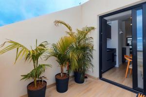 3BR Portview Luxury Penthouse & Terrace