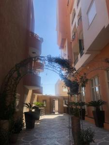 Les dunes chat mariem