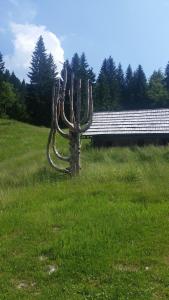 Brunarica Bled Zatrnik Pokljuka