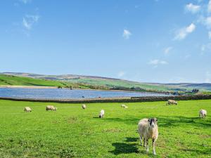 2 Bed in Barnard Castle 90498