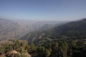 Wandernest Homes Boho Bliss